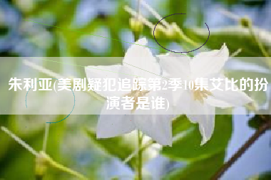 朱利亚(美剧疑犯追踪第2季10集艾比的扮演者是谁)