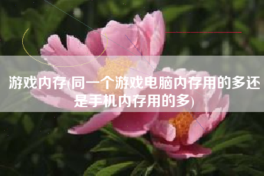 游戏内存(同一个游戏电脑内存用的多还是手机内存用的多)