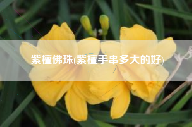 紫檀佛珠(紫檀手串多大的好)