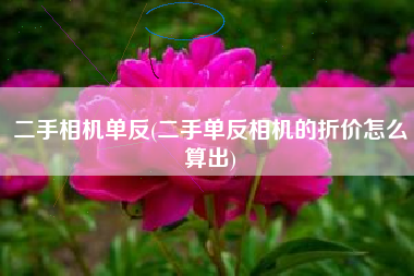 二手相机单反(二手单反相机的折价怎么算出)