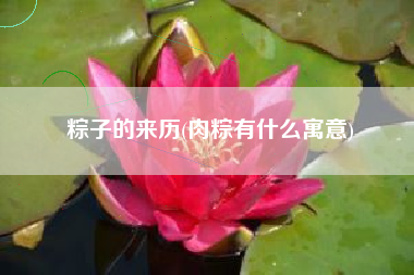 粽子的来历(肉粽有什么寓意)