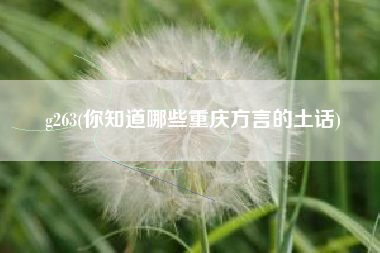 g263(你知道哪些重庆方言的土话)