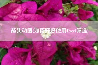 箭头动图(如何好好使用Excel筛选)