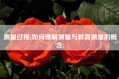 测量过程(如何理解测量与教育测量的概念)