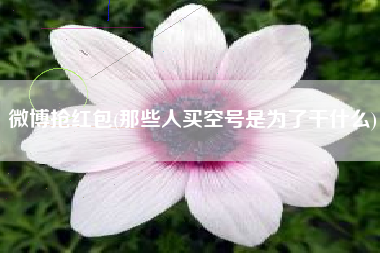 微博抢红包(那些人买空号是为了干什么)