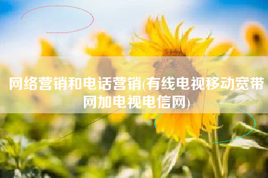 网络营销和电话营销(有线电视移动宽带网加电视电信网)