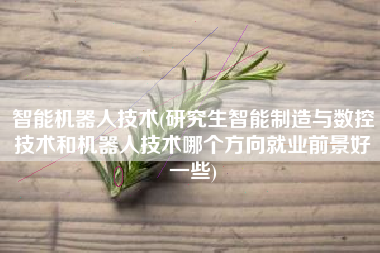 详细阅读:智能机器人技术(研究生智能制造与数控技术和机器人技术哪个方向就业前景好一些) 智能机器人技术(研究生智能制造与数控技术和机器人技术哪个方向就业前景好一些)