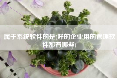 属于系统软件的是(好的企业用的管理软件都有哪些)