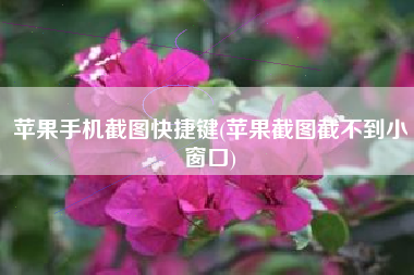 苹果手机截图快捷键(苹果截图截不到小窗口)