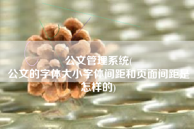 公文管理系统(
公文的字体大小字体间距和页面间距是怎样的) 公文管理系统(
公文的字体大小字体间距和页面间距是怎样的)