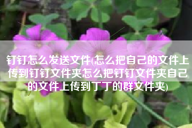 钉钉怎么发送文件(怎么把自己的文件上传到钉钉文件夹怎么把钉钉文件夹自己的文件上传到丁丁的群文件夹)