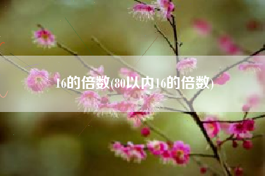 16的倍数(80以内16的倍数)