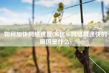 如何加快网络速度(5G比4G网络网速快的原因是什么)