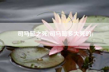 司马懿之死(司马懿多大死的)