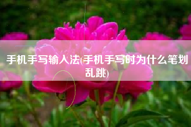 手机手写输入法(手机手写时为什么笔划乱跳)
