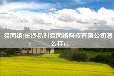 易网络(长沙易对易网络科技有限公司怎么样)