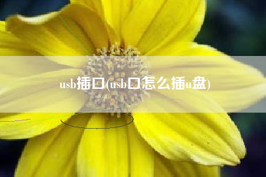 usb插口(usb口怎么插u盘)