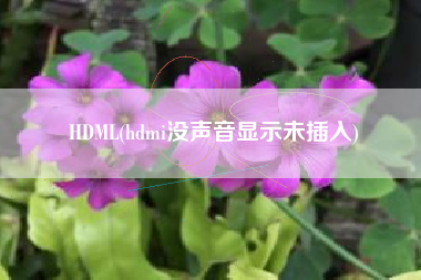 HDML(hdmi没声音显示未插入)