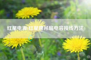 红星电源(红星牌吊扇电容接线方法)