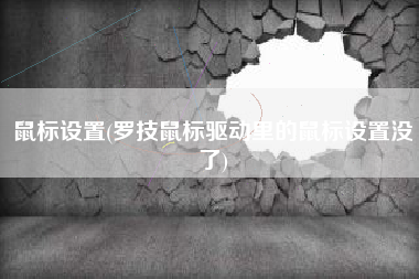 鼠标设置(罗技鼠标驱动里的鼠标设置没了)