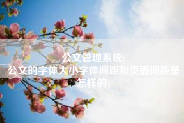 公文管理系统(
公文的字体大小字体间距和页面间距是怎样的) 公文管理系统(
公文的字体大小字体间距和页面间距是怎样的)