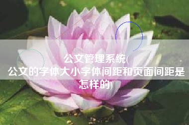 公文管理系统(
公文的字体大小字体间距和页面间距是怎样的) 公文管理系统(
公文的字体大小字体间距和页面间距是怎样的)