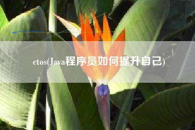 ctos(Java程序员如何提升自己)