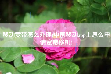 移动宽带怎么办理(中国移动app上怎么申请宽带移机)