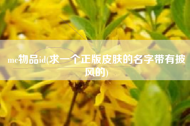 mc物品id(求一个正版皮肤的名字带有披风的)