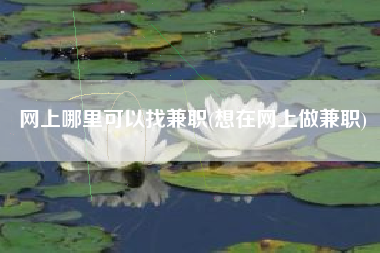 网上哪里可以找兼职(想在网上做兼职)