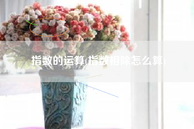 指数的运算(指数相除怎么算)