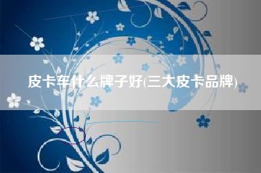 皮卡车什么牌子好(三大皮卡品牌)