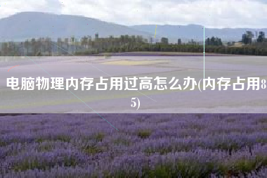电脑物理内存占用过高怎么办(内存占用85)