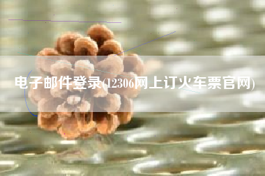 电子邮件登录(12306网上订火车票官网)