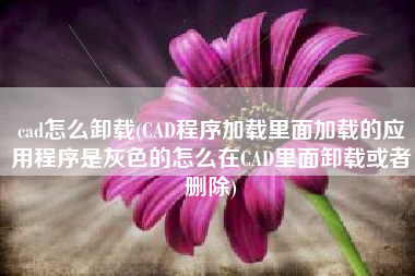 cad怎么卸载(CAD程序加载里面加载的应用程序是灰色的怎么在CAD里面卸载或者删除)