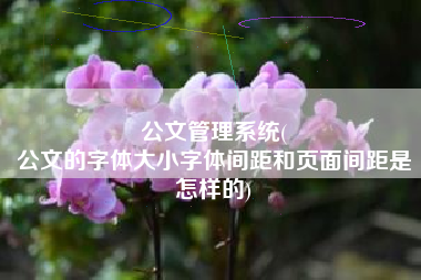 公文管理系统(
公文的字体大小字体间距和页面间距是怎样的) 公文管理系统(
公文的字体大小字体间距和页面间距是怎样的)