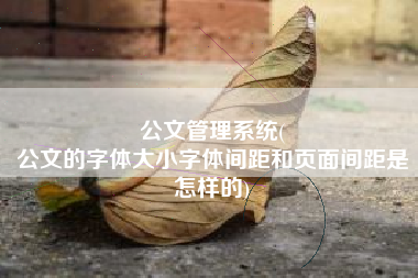 公文管理系统(
公文的字体大小字体间距和页面间距是怎样的) 公文管理系统(
公文的字体大小字体间距和页面间距是怎样的)