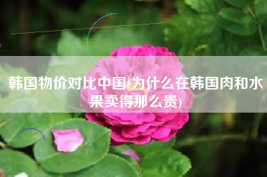 详细阅读:韩国物价对比中国(为什么在韩国肉和水果卖得那么贵) 韩国物价对比中国(为什么在韩国肉和水果卖得那么贵)