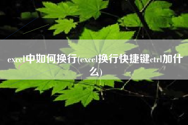 excel中如何换行(excel换行快捷键ctrl加什么)