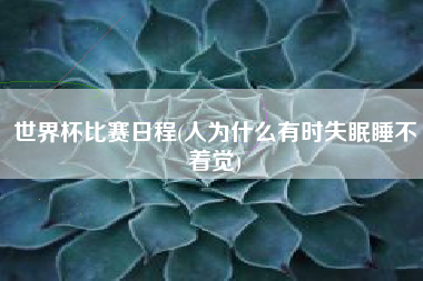 世界杯比赛日程(人为什么有时失眠睡不着觉)