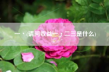 详细阅读:一丶(请问收益一丶二三是什么) 一丶(请问收益一丶二三是什么)