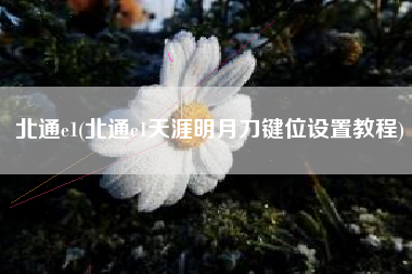 北通e1(北通e1天涯明月刀键位设置教程)