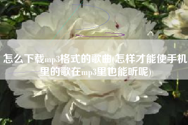 怎么下载mp3格式的歌曲(怎样才能使手机里的歌在mp3里也能听呢)