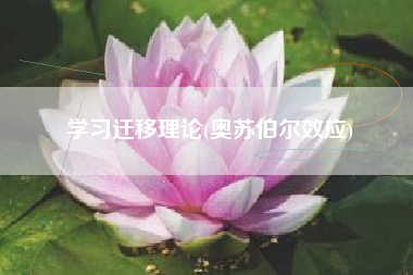 学习迁移理论(奥苏伯尔效应)