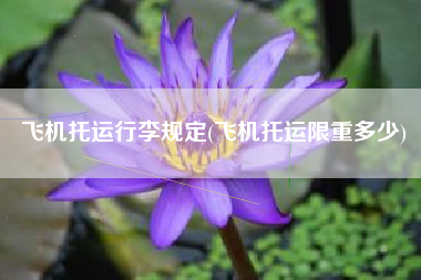 飞机托运行李规定(飞机托运限重多少)