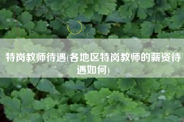 详细阅读:特岗教师待遇(各地区特岗教师的薪资待遇如何) 特岗教师待遇(各地区特岗教师的薪资待遇如何)