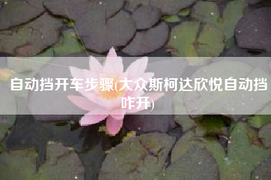 自动挡开车步骤(大众斯柯达欣悦自动挡咋开)