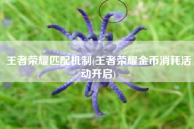 王者荣耀匹配机制(王者荣耀金币消耗活动开启)