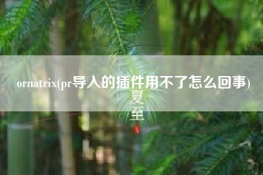 ornatrix(pr导入的插件用不了怎么回事)