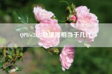 QPI(w2125处理器相当于几代)